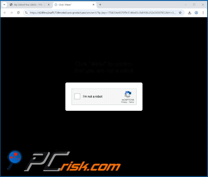 wns-protect[.]pro website appearance (GIF)