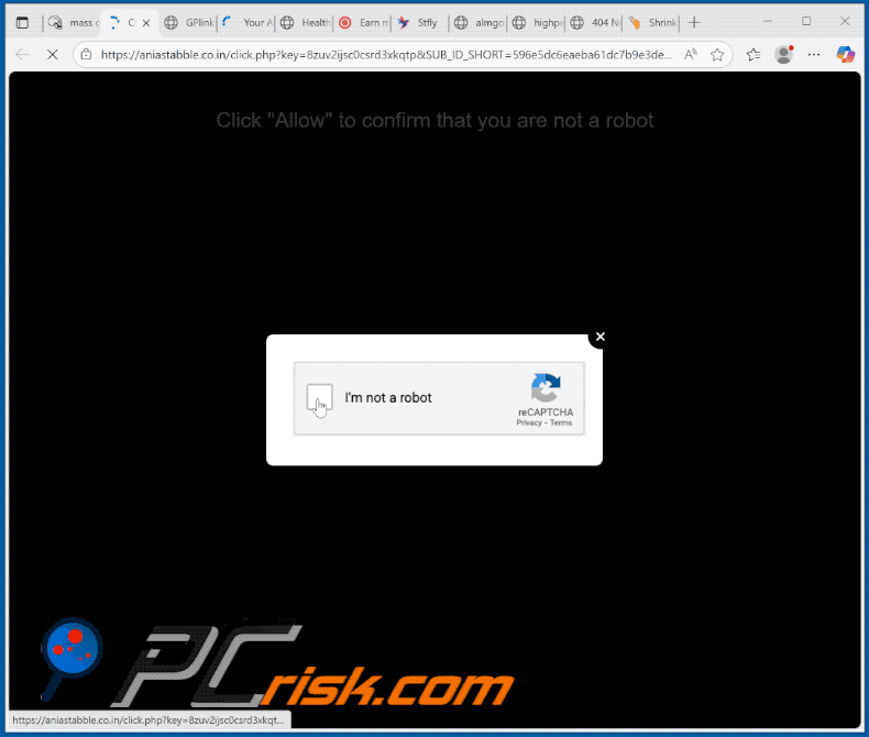 aniastabble.co[.]in website appearance (GIF)