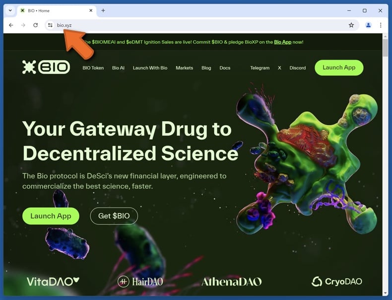 Appearance of the real Bio Protocol website (bio.xyz)