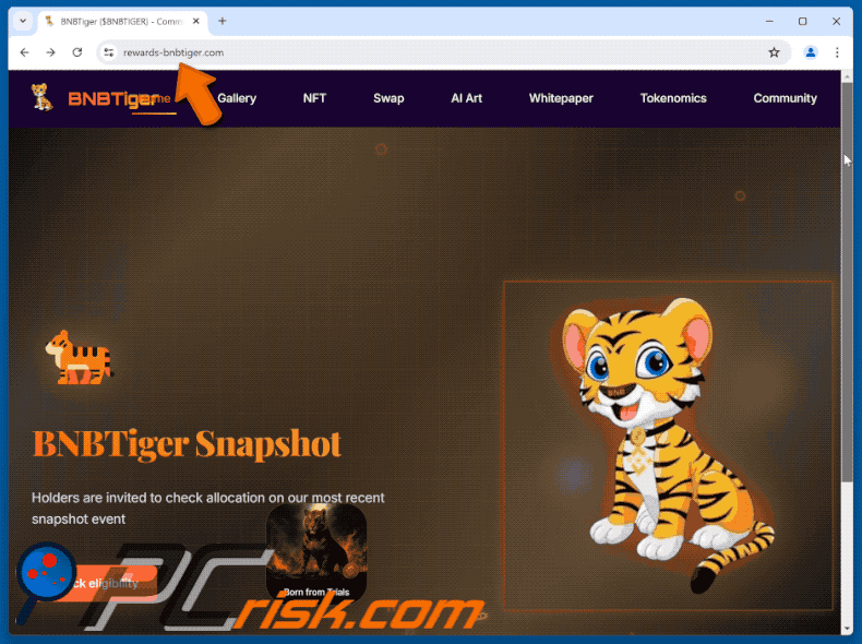 Appearance of the fake BNBTiger Rewards website (GIF)