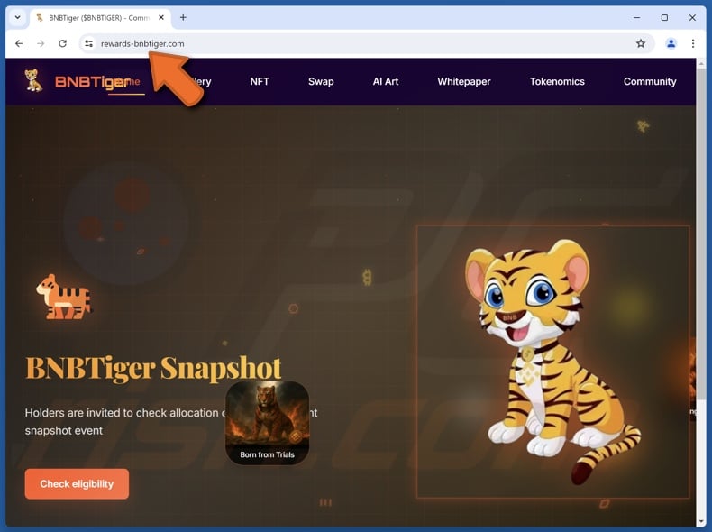 Fake BNBTiger Rewards website