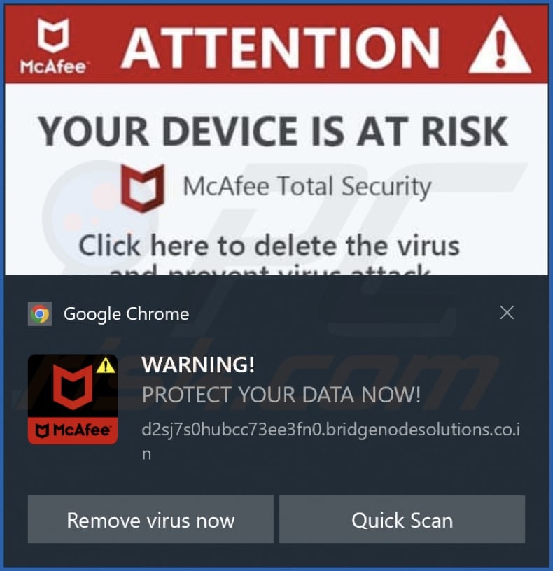 bridgenodesolutions.co[.]in notification