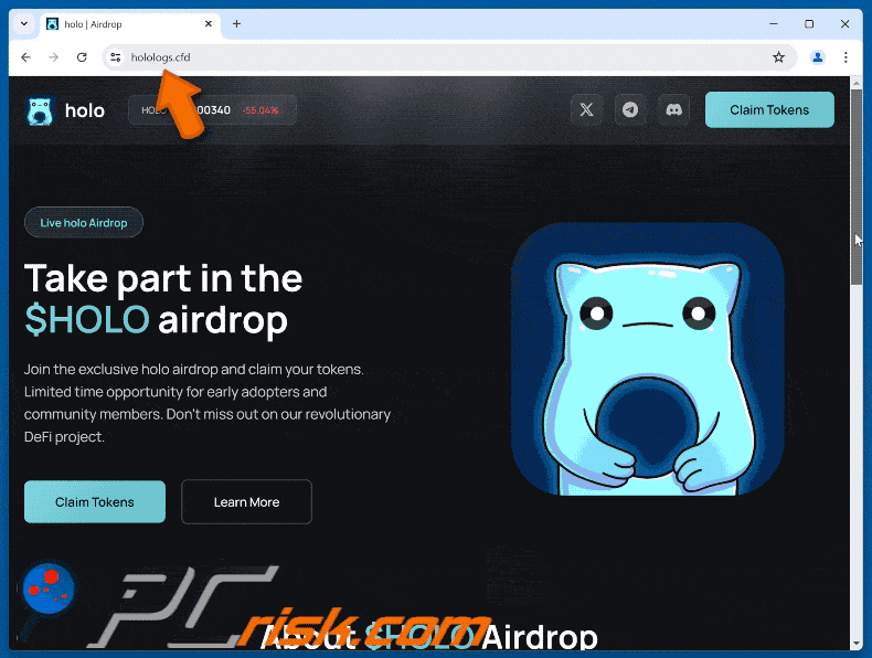 Appearance of $HOLO Airdrop scam