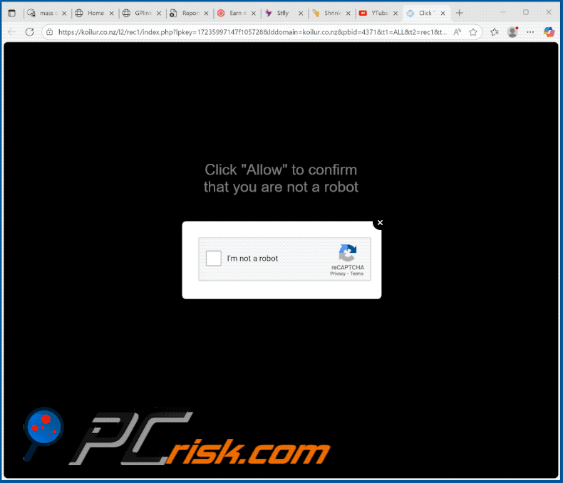 koilur.co[.]nz website appearance (GIF)