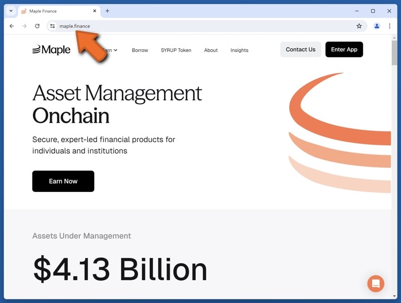 Appearance of the real Maple Finance website (maple.finance)