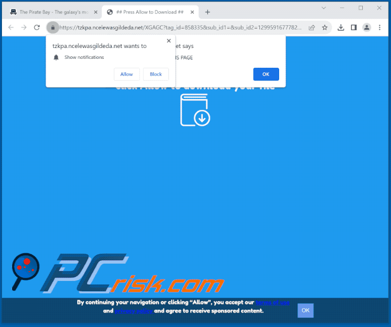 ncelewasgildeda[.]net website appearance (GIF)