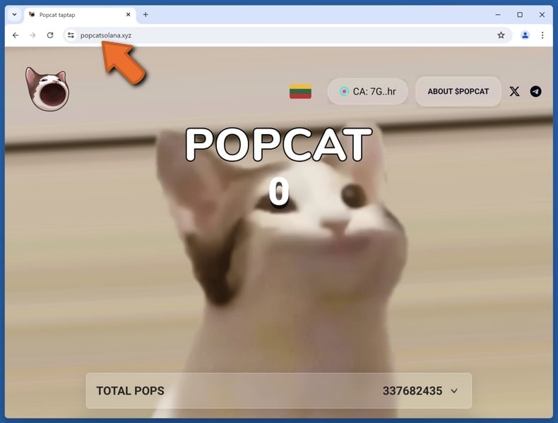 Appearance of the real Popcat website (popcatsolana.xyz)