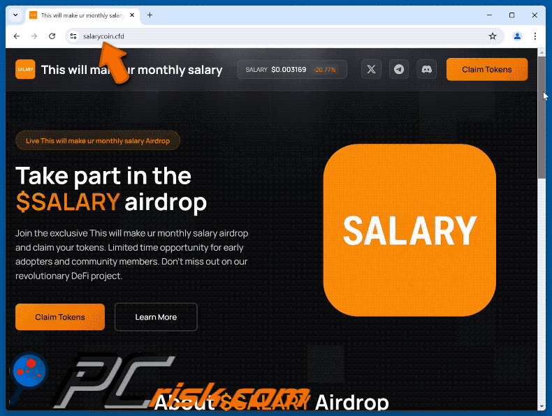 Appearance of the fake $SALARY Airdrop website (GIF)