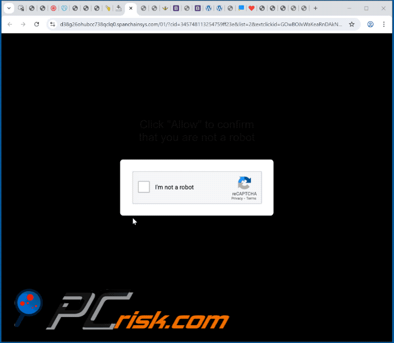 spanchainsys[.]com website appearance (GIF)