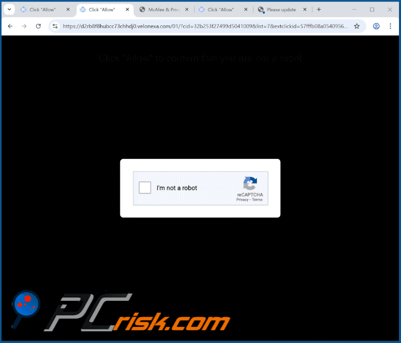 velonexa[.]com website appearance (GIF)