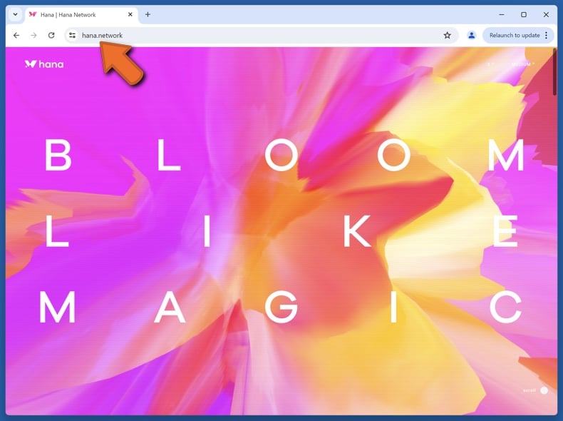 Appearance of the real Hana Network website (hana.network)