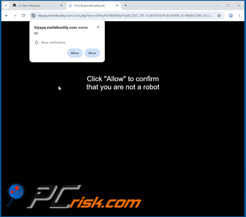 emilebostily[.]com website appearance (GIF)