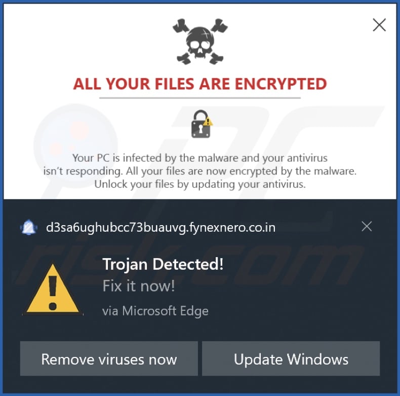 Ad delivered by the fynexnero.co[.]in webpage