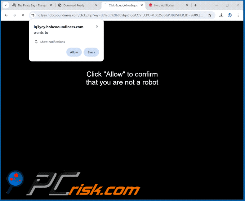 hobcooundiness[.]com website appearance (GIF)