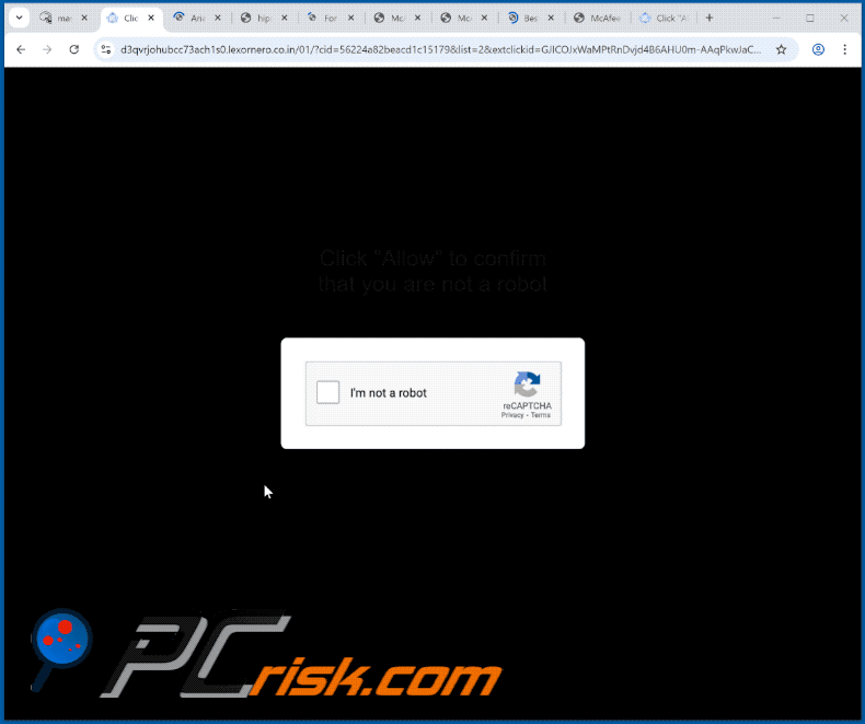 lexornero.co[.]in website appearance (GIF)
