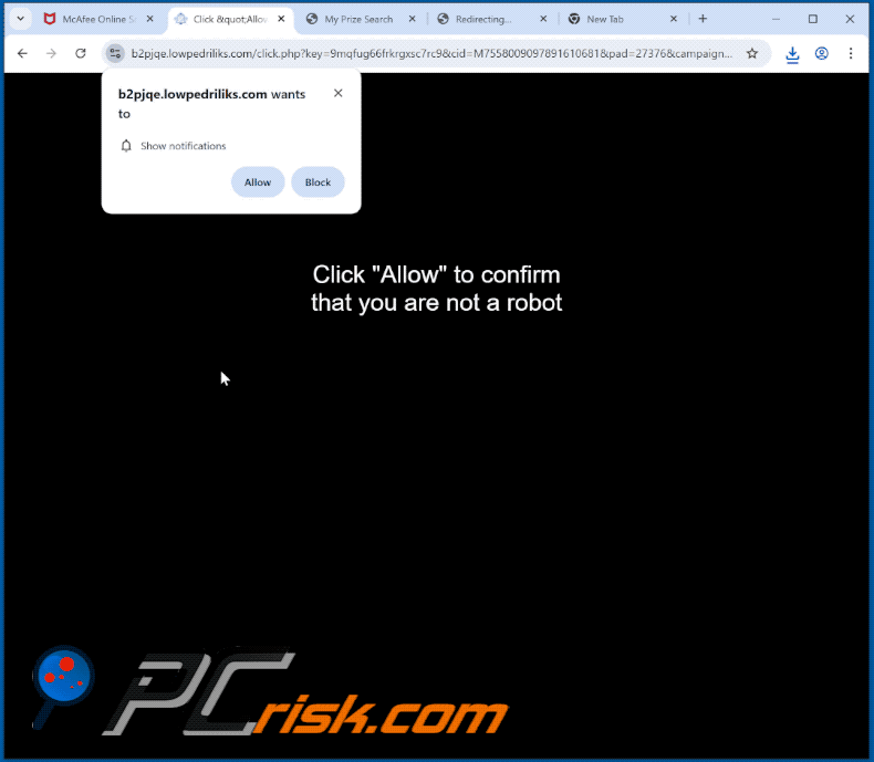 lowpedriliks[.]com website appearance (GIF)
