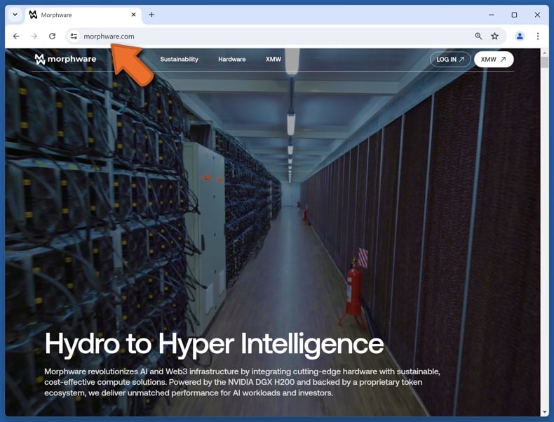 Appearance of the real Morphware website (morphware.com)