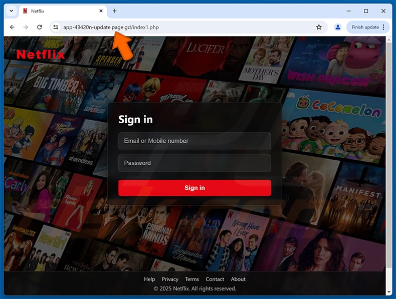 Fake Netflix website used for phishing