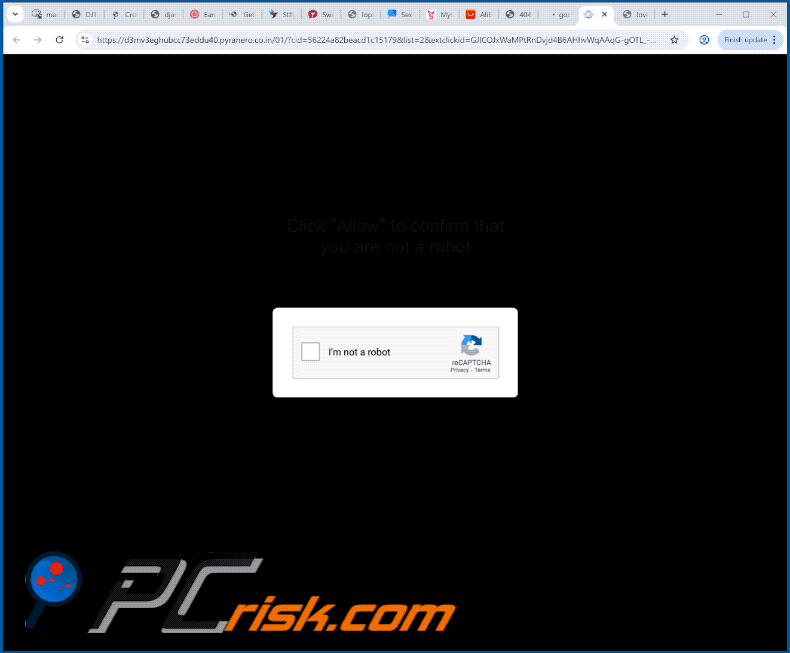 pyranero.co[.]in website appearance (GIF)