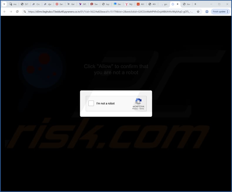 pyranero.co[.]in ads