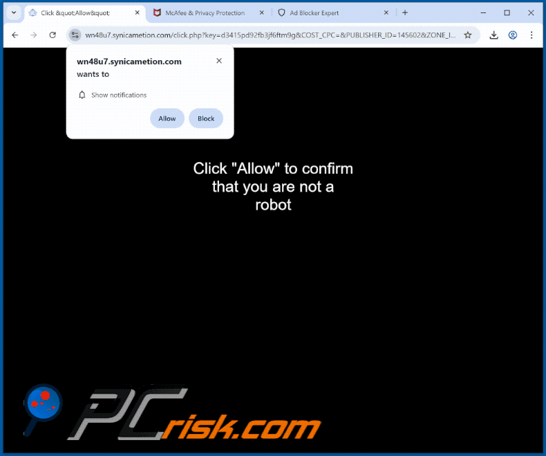synicametion[.]com website appearance (GIF)