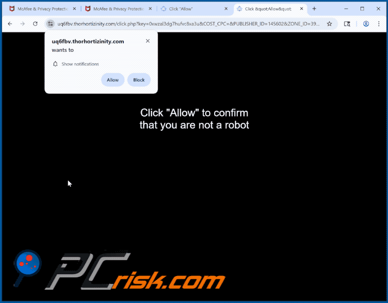 thorhortizinity[.]com website appearance (GIF)