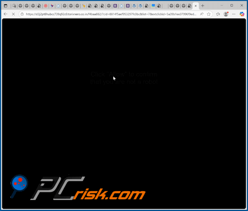 torixnero.co[.]in website appearance (GIF)
