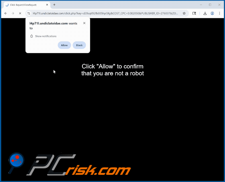 undiclatoidae[.]com website appearance (GIF)