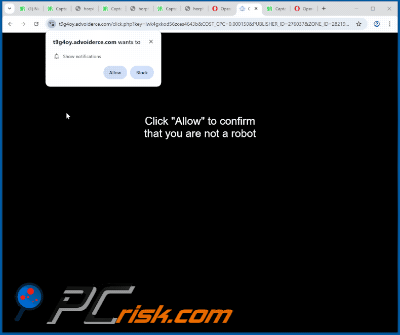advoiderce[.]com website appearance (GIF)