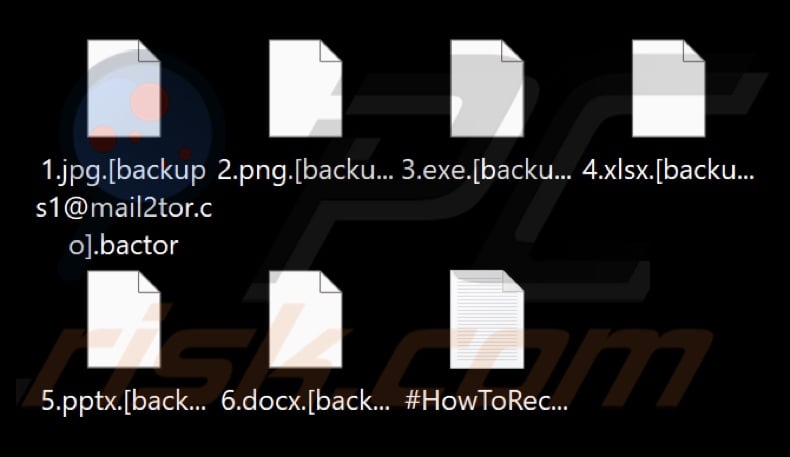 Files encrypted by Bactor ransomware (.bactor extension)