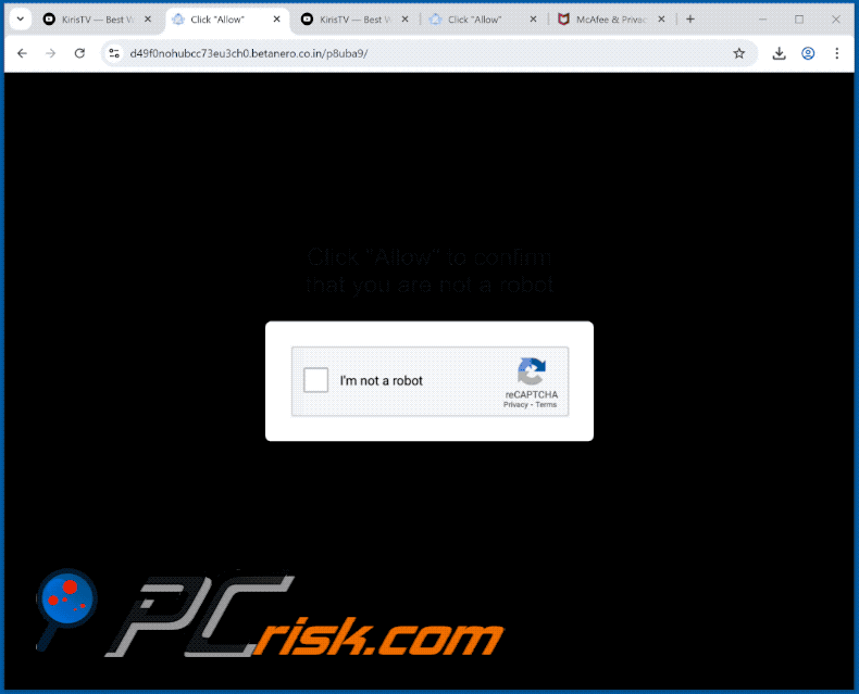 betanero.co[.]in website appearance (GIF)