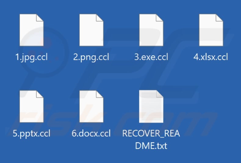 Files encrypted by CCLand ransomware (.ccl extension)