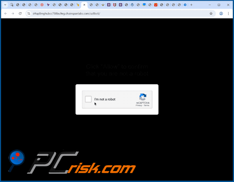 chainspanlabs[.]com website appearance (GIF)