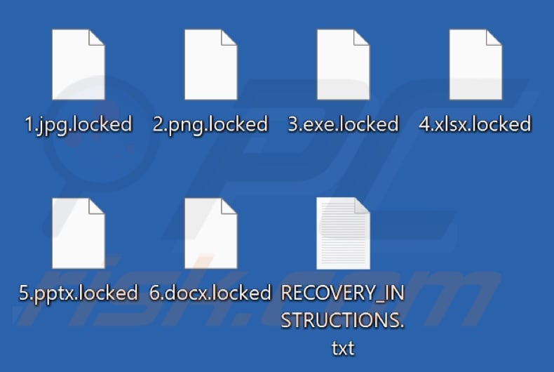 Files encrypted by ChickenKiller ransomware (.locked extension)