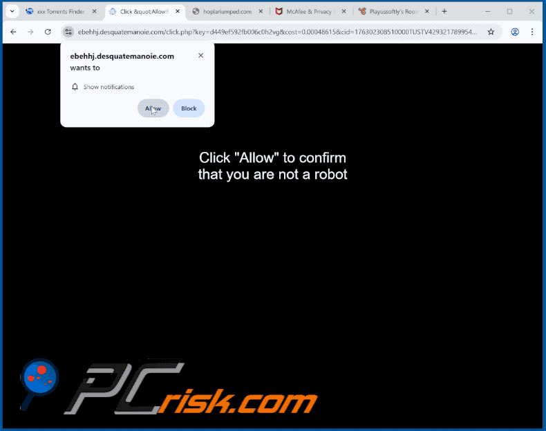 desquatemanoie[.]com website appearance (GIF)