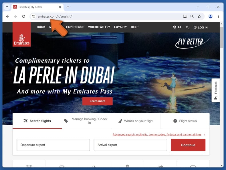 Appearance of the real Emirates website (emirates.com)