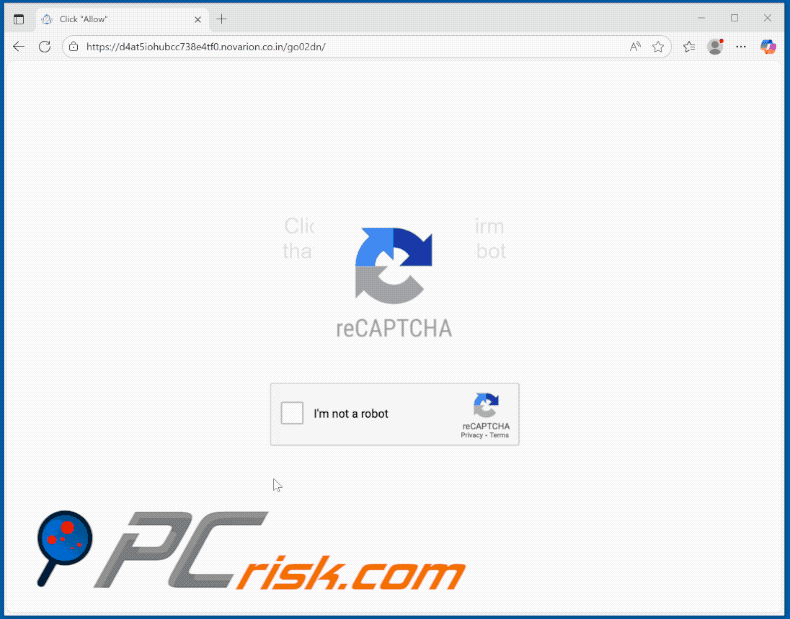 novarion.co[.]in website appearance (GIF)