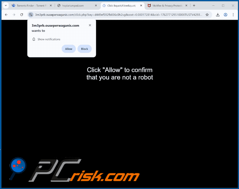 ouseperwaganis[.]com website appearance (GIF)