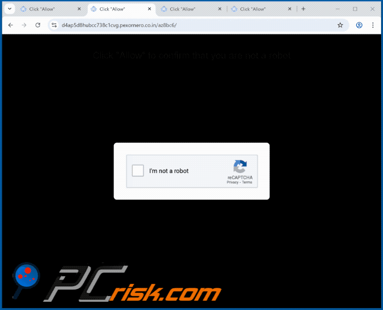 pexornero.co[.]in website appearance (GIF)