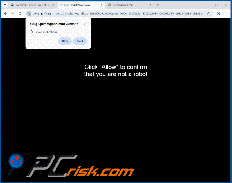 prificagnah[.]com website appearance (GIF)