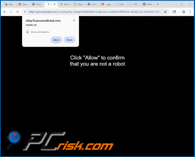proxicedisted[.]com website appearance (GIF)