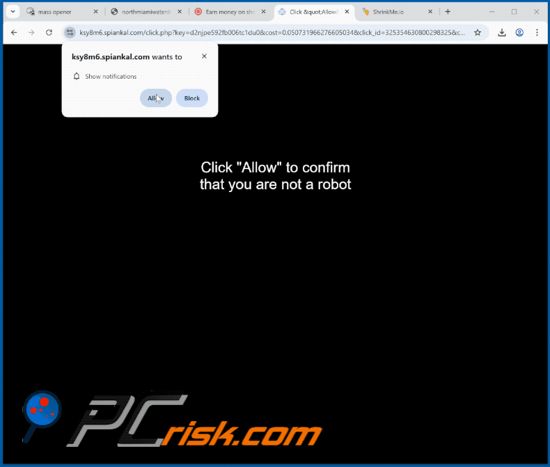 spiankal[.]com website appearance (GIF)