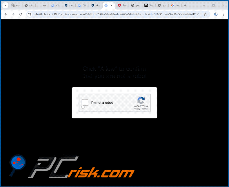 tavonnero.co[.]in website appearance (GIF)