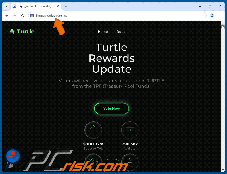 Appearance of the fake Turtle Vote Rewards website (GIF)