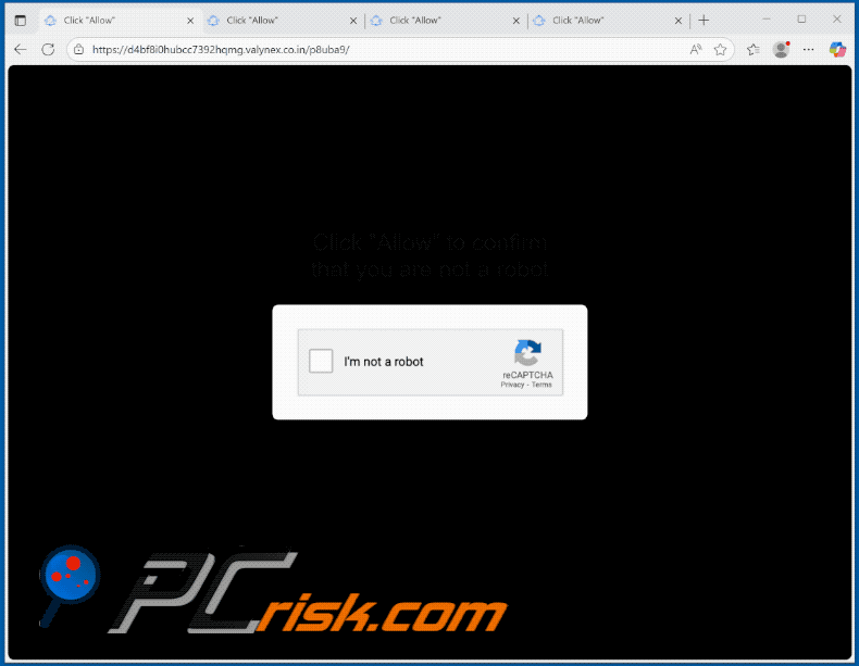 valynex.co[.]in website appearance (GIF)