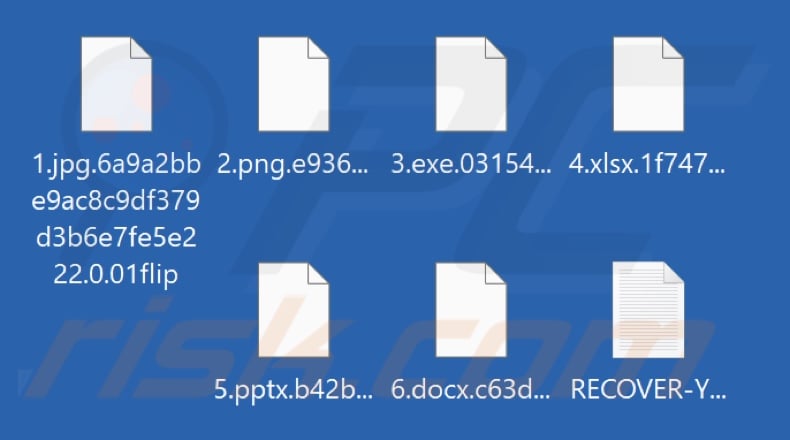 Files encrypted by 01Flip ransomware (.01flip extension)