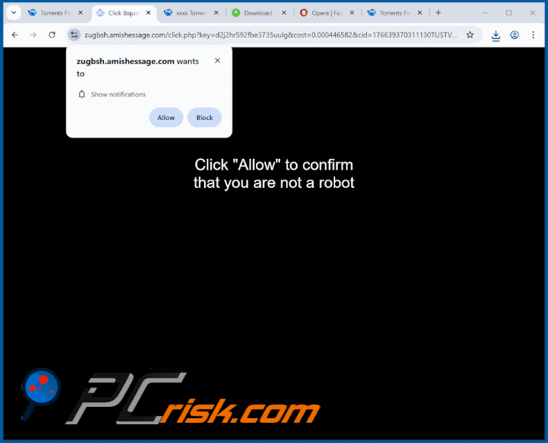 amishessage[.]com website appearance (GIF)