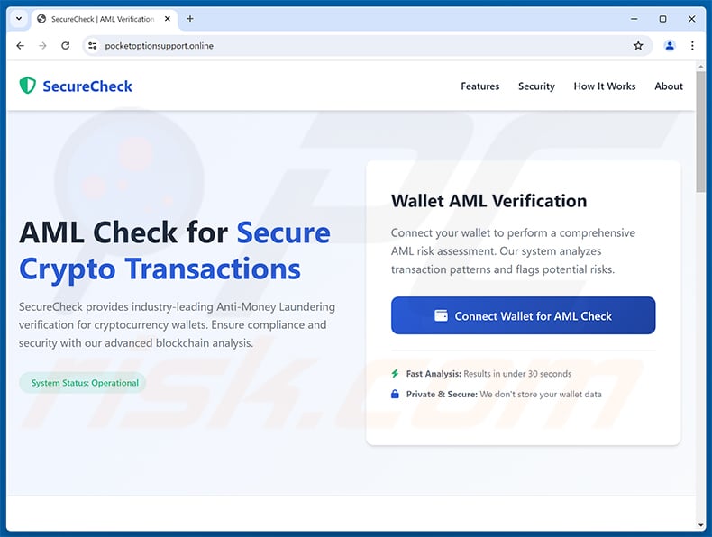 AMLBot Crypto Checking Scam website (pocketoptionsupport[.]online)