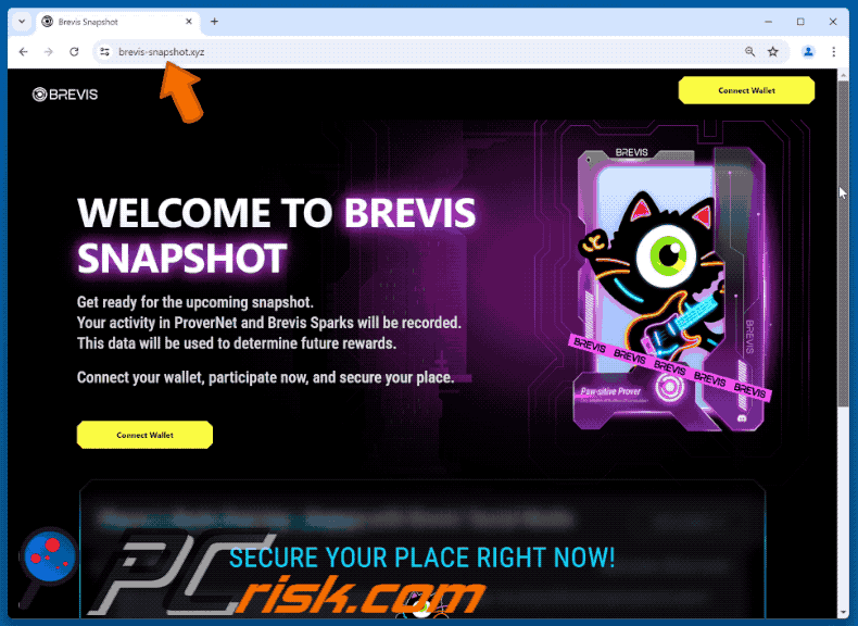 Appearance of the fake Brevis Snapshot website (GIF)