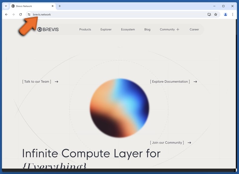 Appearance of the real Brevis Network website (brevis.network)